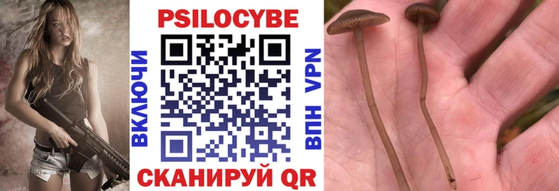 Галлюциногенные грибы прущие грибы  это какой сайт  Бор 